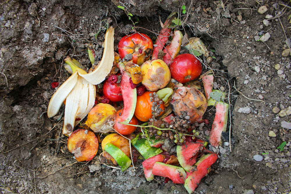 kompostovanie paradajok