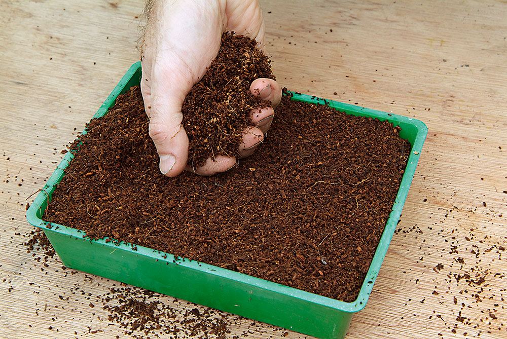 Príprava. Väčšie nádoby alebo výsevné misky na predpestovanie plodín naplňte kvalitným substrátom a jemne ho utlačte.