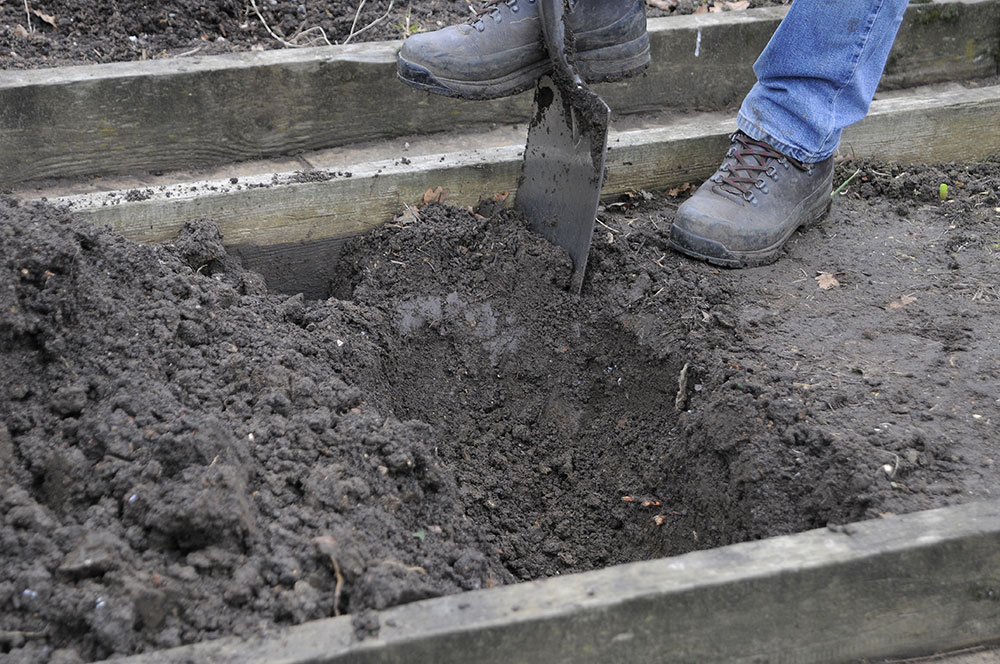 Vyhĺbenie jamy. Na začiatku hriadky vykopte pás zeminy na hĺbku rýľa. Vykopanú zeminu si odložte na neskoršie použitie.