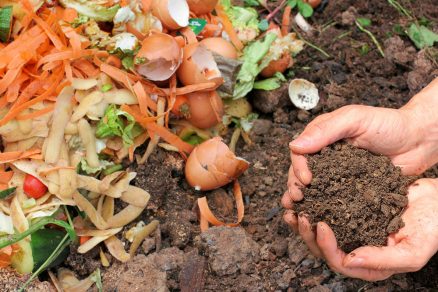 organický kompost