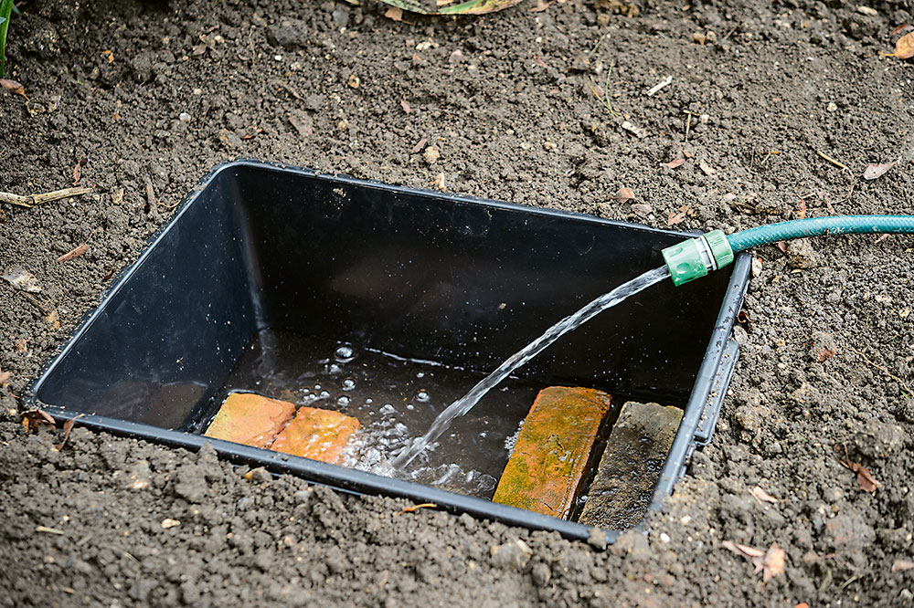 Napúšťanie vody. Do rohov nádoby umiestnite tehly, ktorými zregulujete výšku ponoru rastlín. Naplňte nádobu vodou a vysaďte rastliny. 