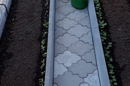 mozaiková dlažba v skleníku