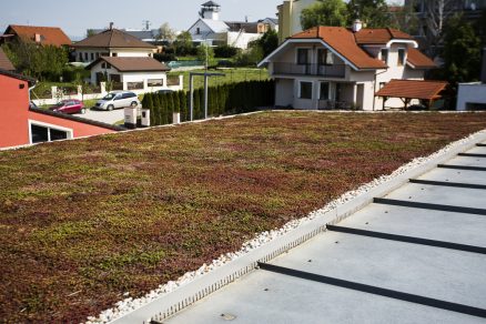 Urbanscape zelená strecha