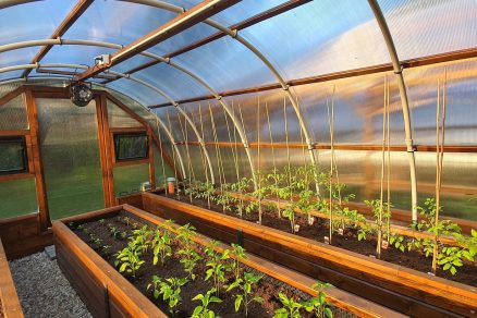 skleníky s ohrevom a automatickým zavlažovaním