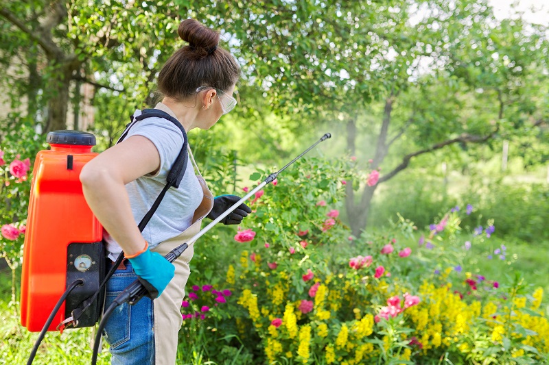 postrek proti letným škodcom v záhrade