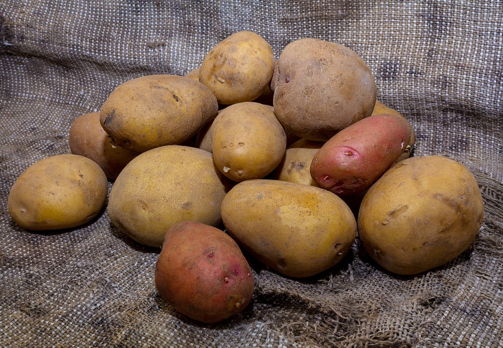 Skladovanie zemiakov