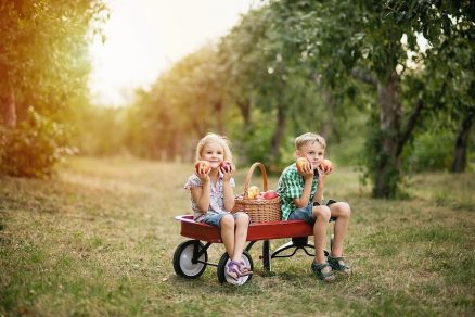 Deti sediace na vozíku v jablčnom sade