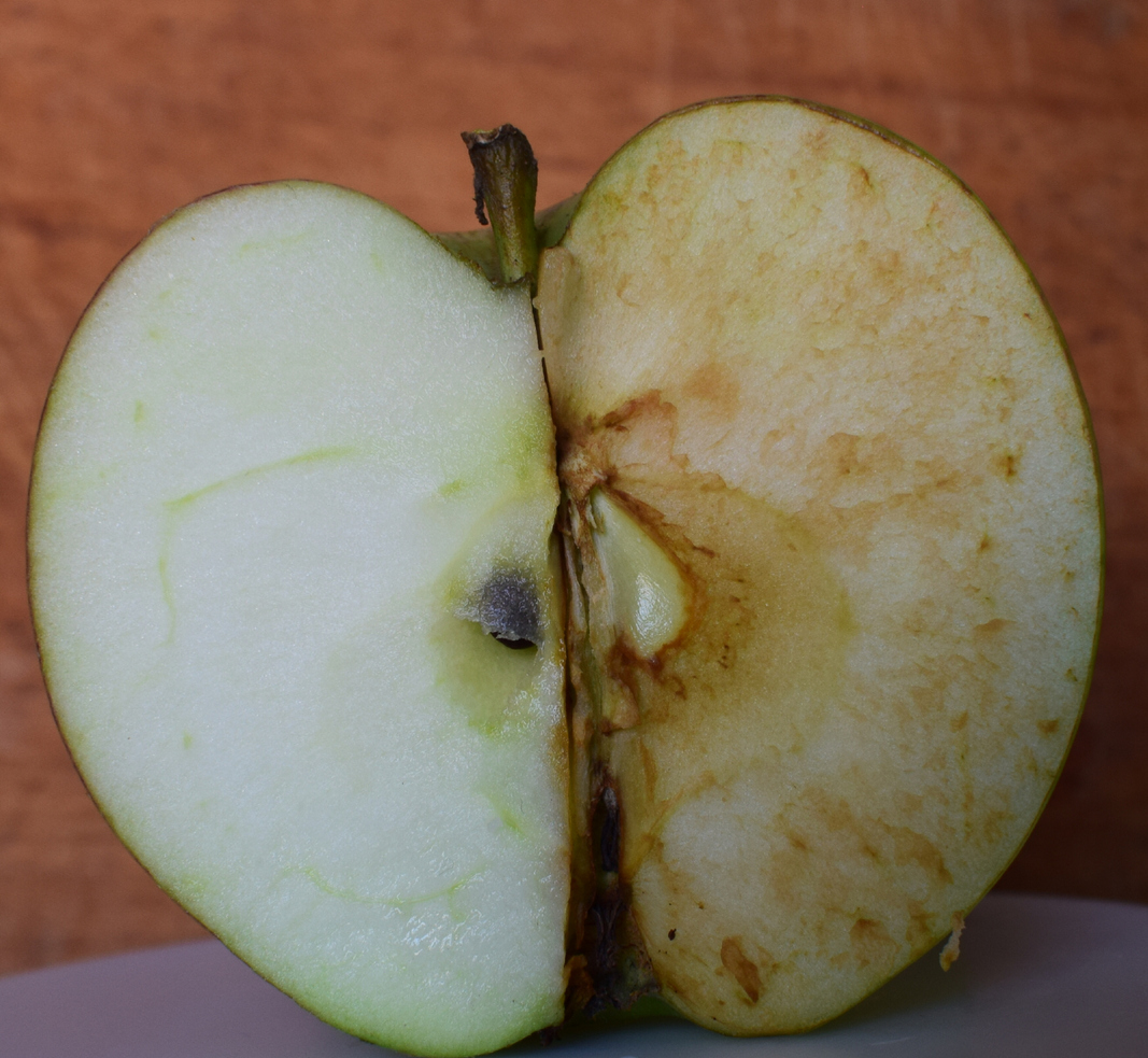 Zhnednuté jablko