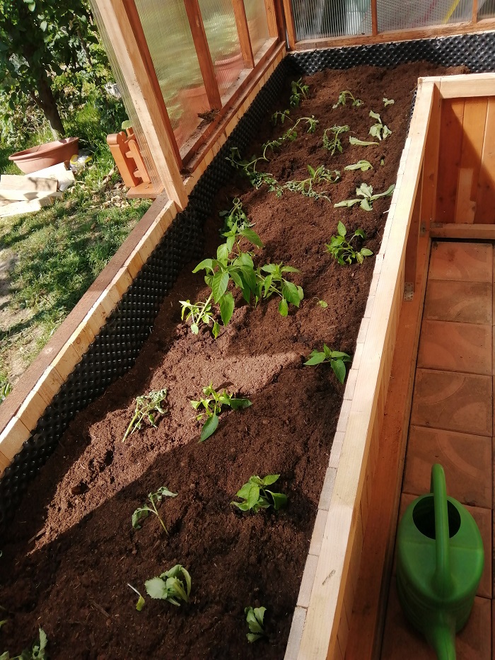 Záhradný skleník z dreva a polykarbonátu