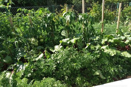 Vyvýšený záhon na pestovanie zeleniny so samozavlažovaním