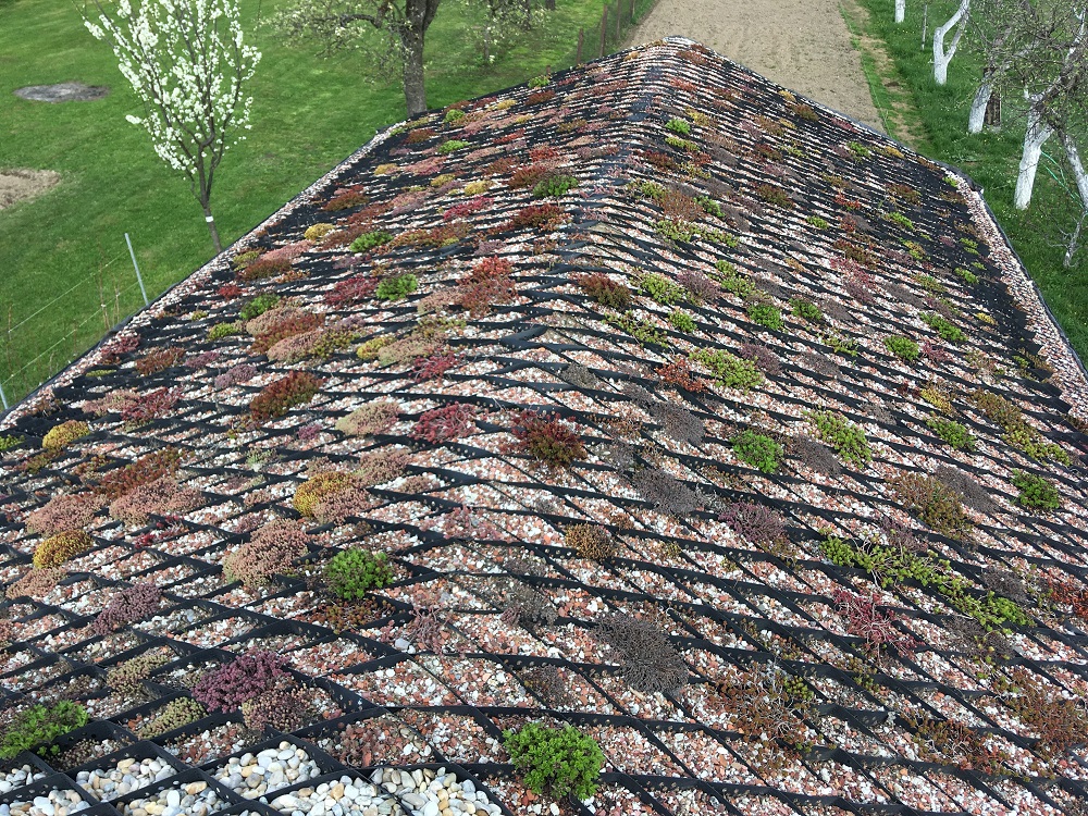 Vegetačná strecha altánku