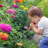 Chlapček ovoniavajúci kvetiny v záhrade