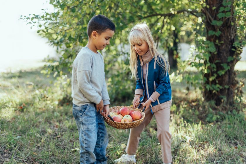 Deti v záhrade s jablkami