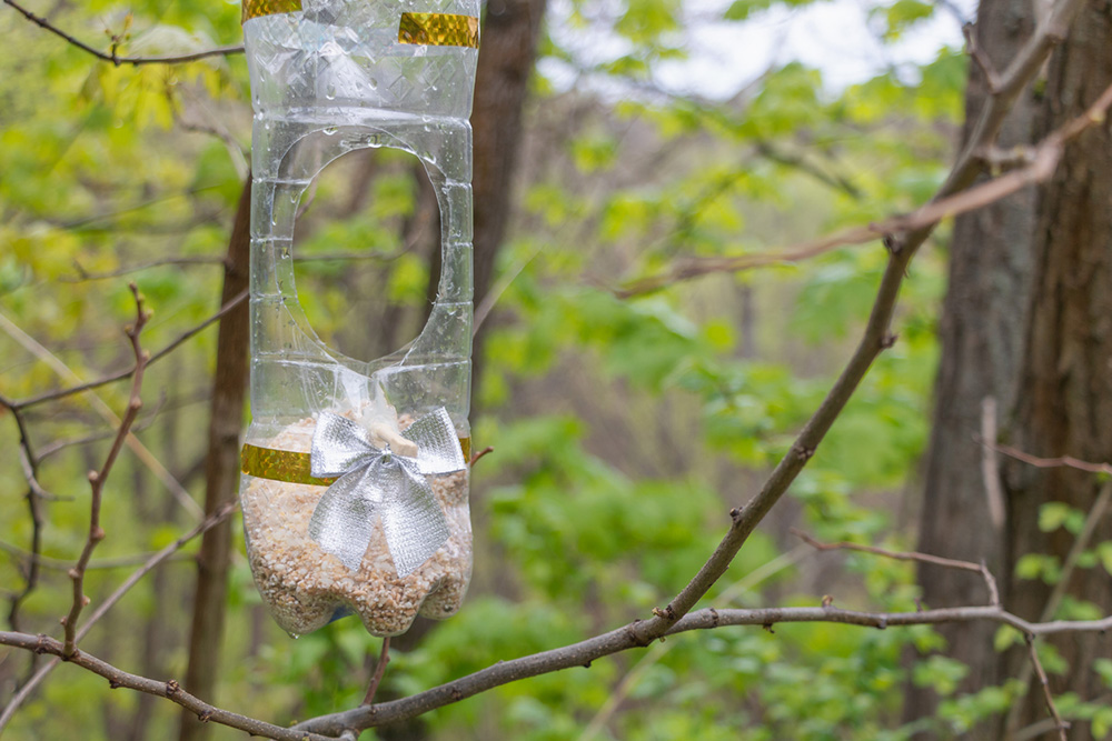 Lacné kŕmidlo pre vtáky z plastovej fľaše