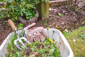 Ako si zabezpečiť záhradu bez buriny? Je to jednoduchšie, ako si myslíte!