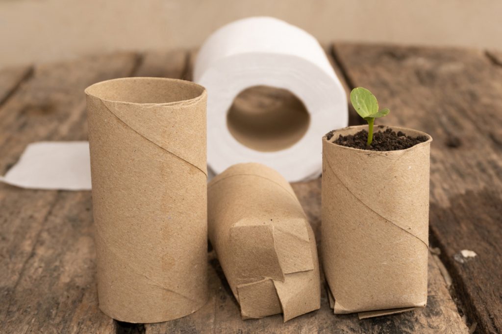 Biologicky odbúrateľné kvetináče z roliek toaletného papiera