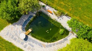 Samočistiaci prírodný bazén alebo kúpacie jazierko: Všetky pre a proti, ktoré by ste mali vedieť