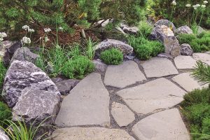 Jednoduchý a efektný kamenný chodník do záhrady? S týmto postupom to zvládnete za víkend!