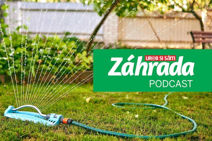Podcast Záhrada o ochrane záhrady na letné horúčavy