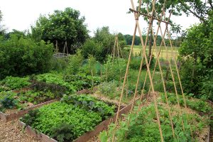 Zdravá permakultúrna záhrada je zdrojom potravy a liečiv. Ako ju založiť a starať sa o ňu?