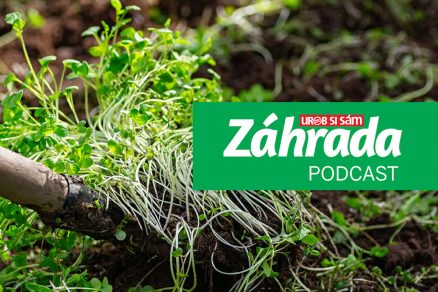 Podcast Záhrada o zelenom hnojení