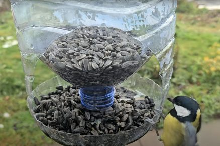 Kŕmidlo pre vtáky z plastových fliaš