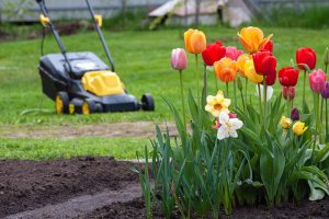 Akú starostlivosť potrebuje trávnik na jar? Máme zaujímavý tip, ako vyplniť prázdne miesta