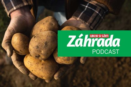 Podcast Záhrada o zemiakoch
