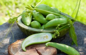 Ačokča láka na jednoduché pestovanie a vysoký výnos: Čo vedieť o „paprikouhorke“?