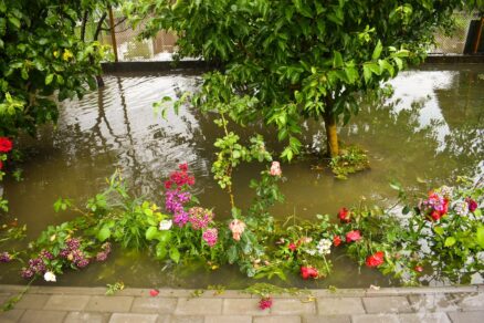 Povodeň v záhrade