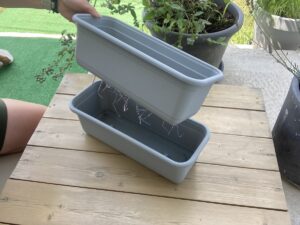 Tri jednoduché a efektívne spôsoby samozavlažovania: Udržte svoje rastliny hydratované, aj keď nie ste doma!