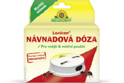 Návnada pre mravcov