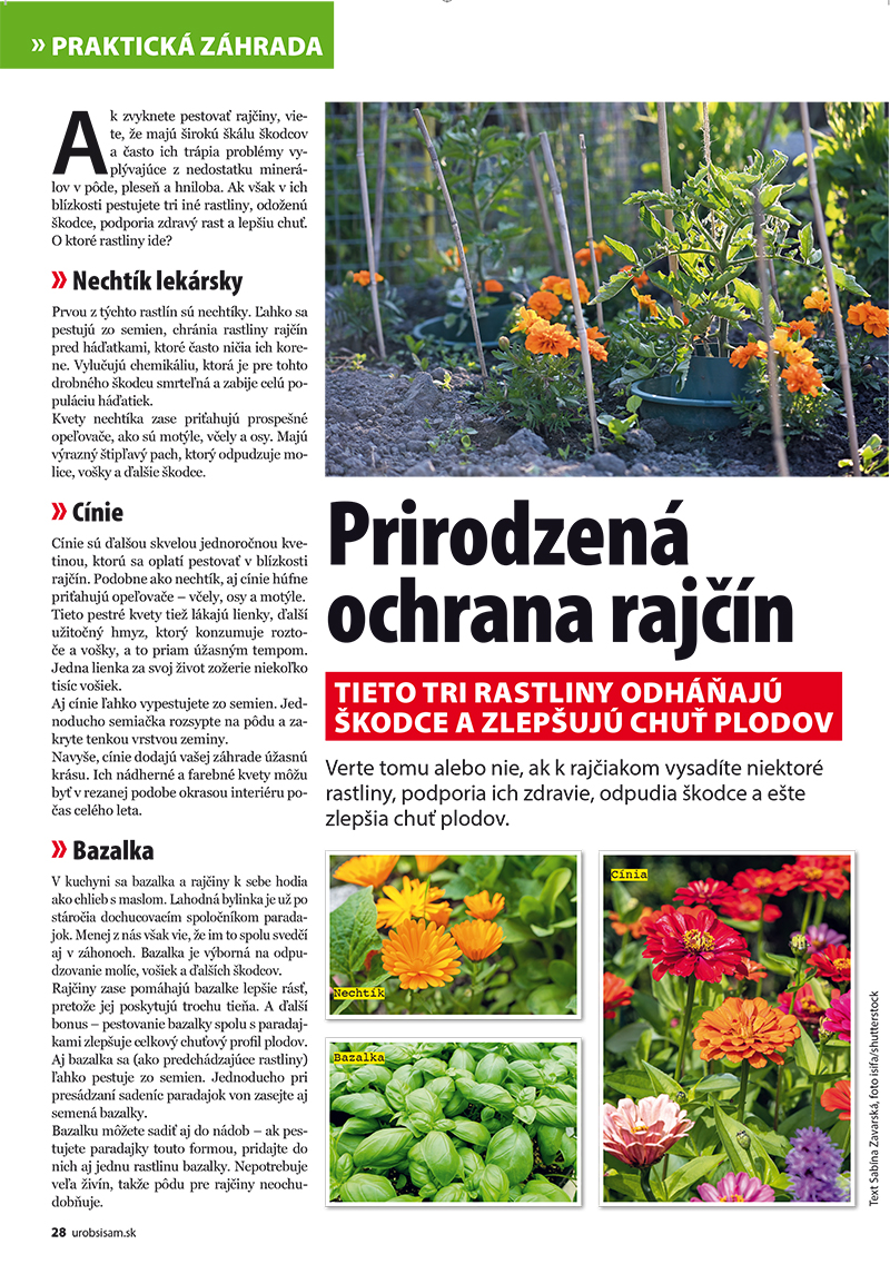 Urob si sám 6/2025