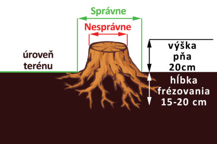 Správne meranie pňa - ako odmerať peň