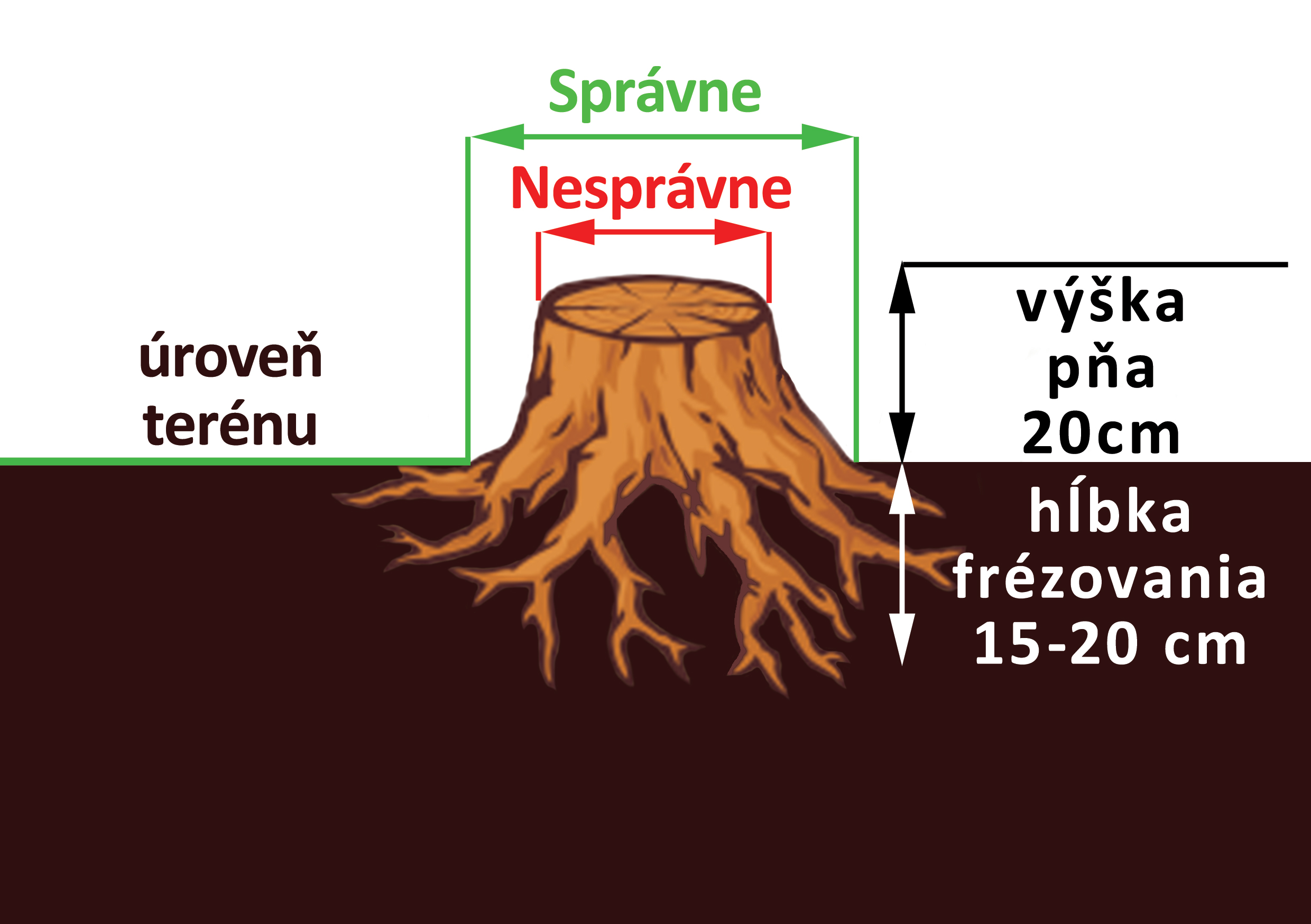 Správne meranie pňa - ako odmerať peň