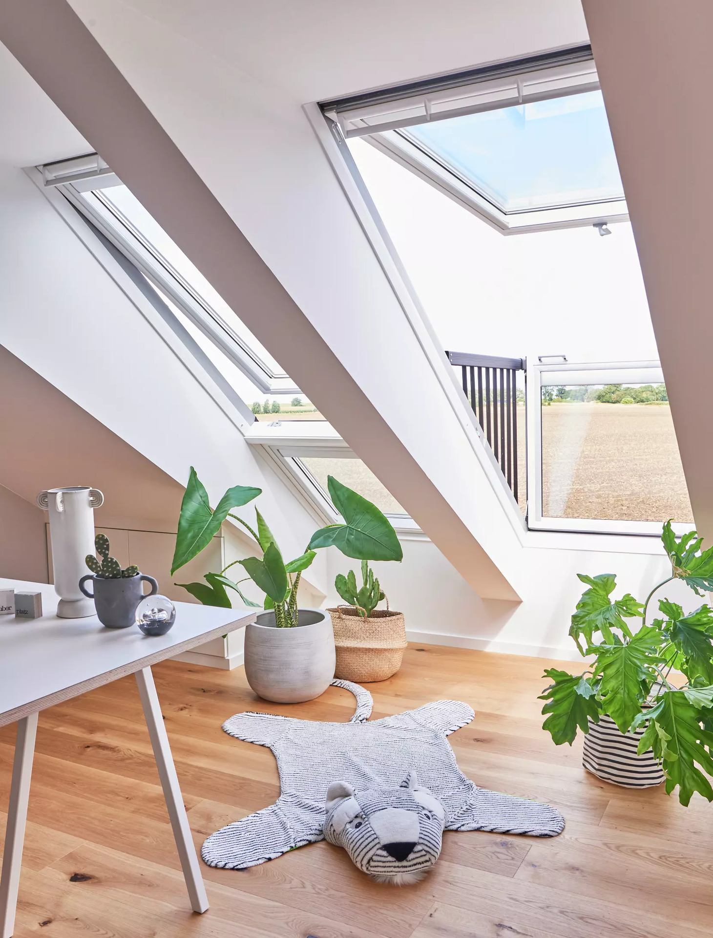 Velux -roof Windows