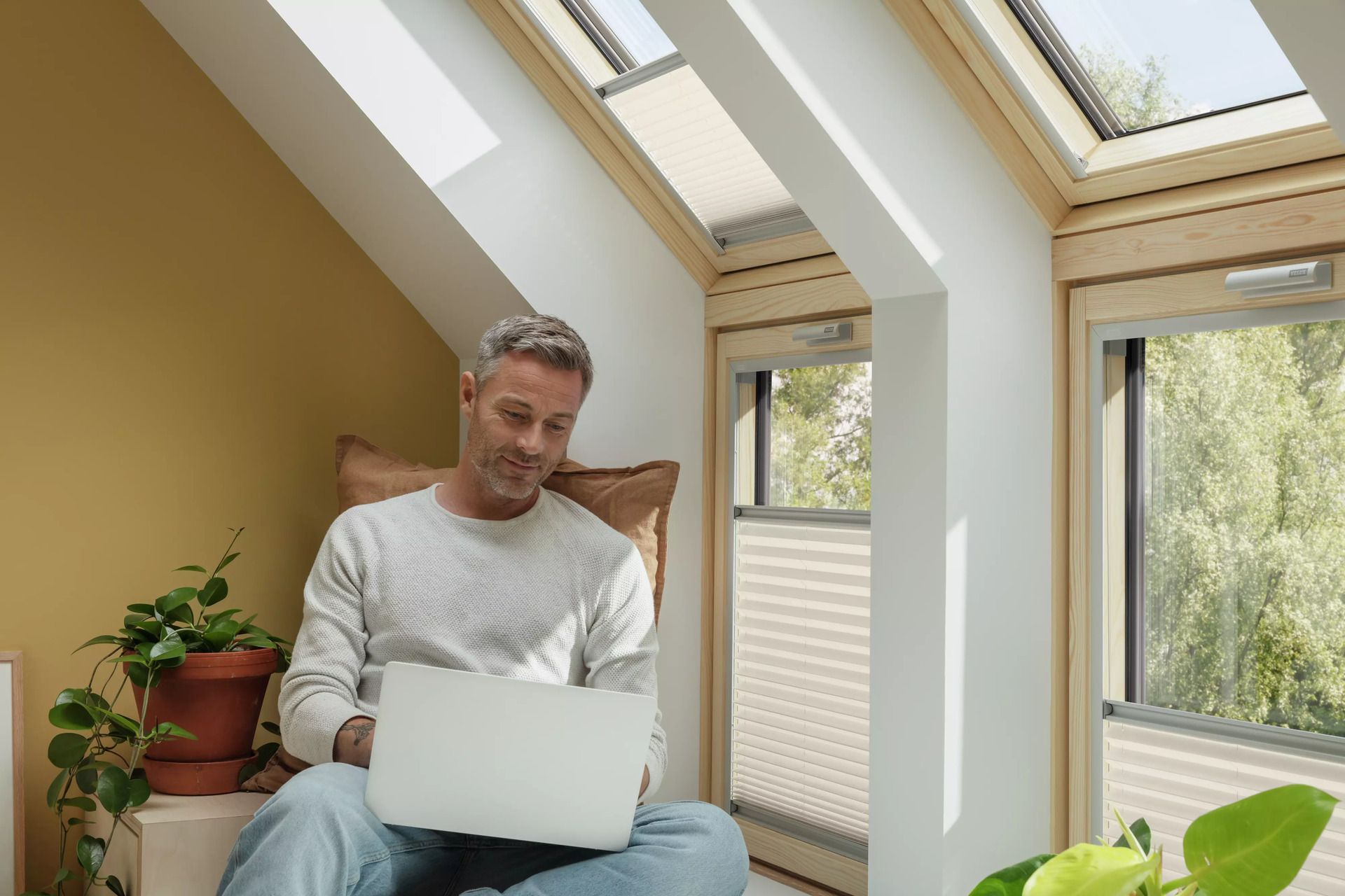 Velux -roof Windows