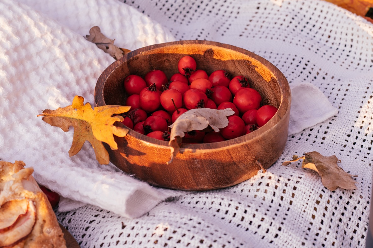 Hloh obyčajný (Crataegus monogyna)