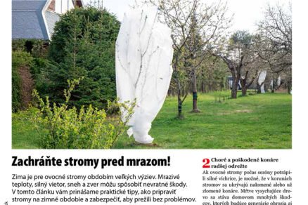 Urob si sám 11/2025