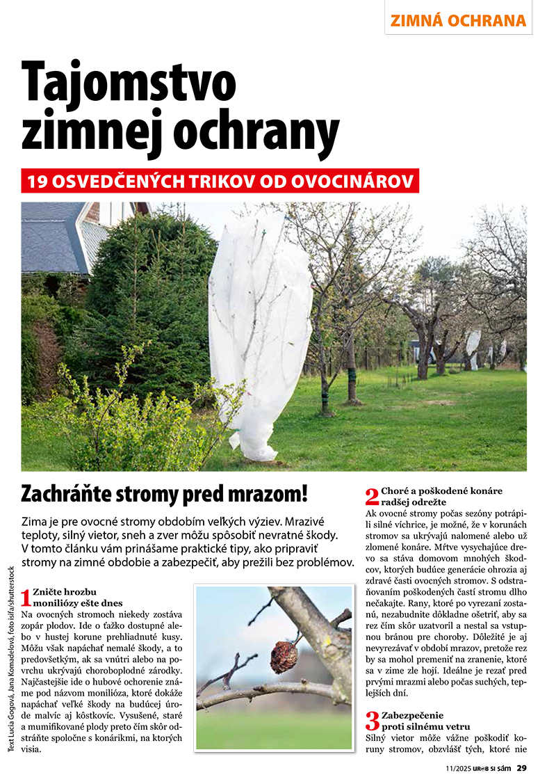 Urob si sám 11/2025