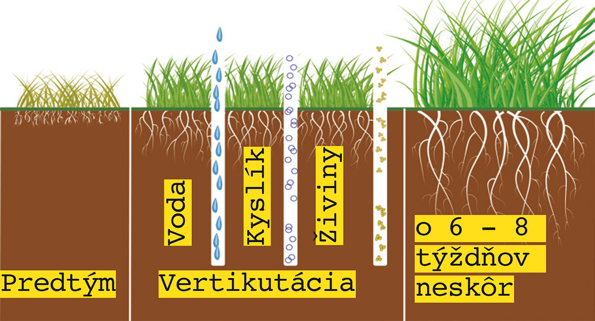 Vertikutácia trávnika - prierez pôdou