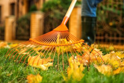 Hrabanie lístia v záhrade na jeseň