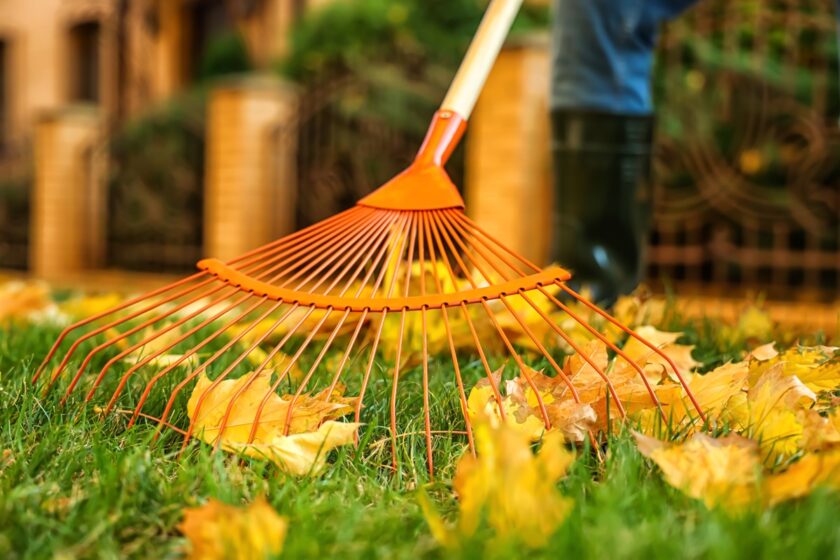 Hrabanie lístia v záhrade na jeseň