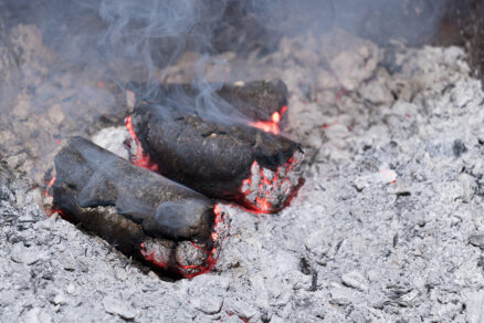 Slnečnicové brikety