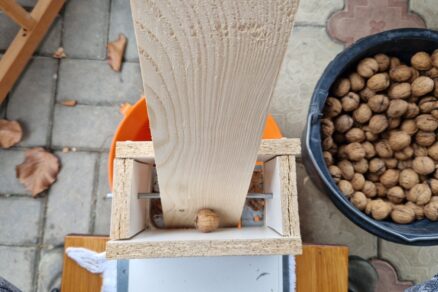 Domáci luskáčik na orechy