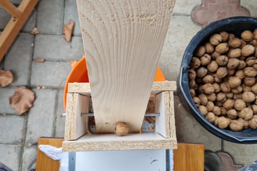 Domáci luskáčik na orechy