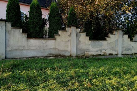 Tuje v záhrade pri plote