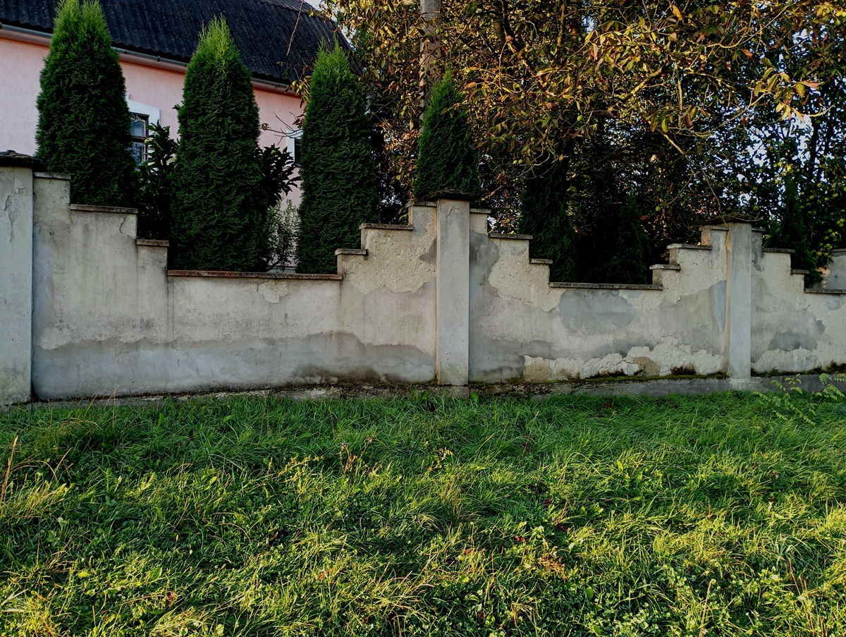 Tuje v záhrade pri plote