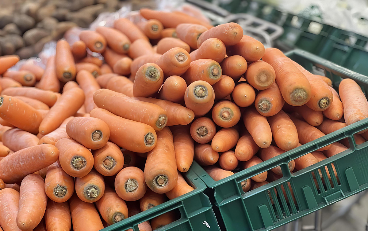 Подготовка моркови к хранению