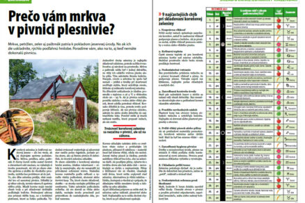 Urob si sám 12-1/2025-26